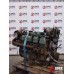 Mercedes-Benz Occ Motor mercedes om442a