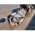 ZF Ecomat 2 6 HP 502C