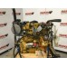 Caterpillar C3.3 8LJ-5159513 NEW