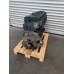 Iveco Stralis CURSOR 10 F3AE3681 EURO 5 RECONDITIONED WITH WARRANTY 42