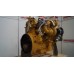 Caterpillar C7.1 D8T-4529413 NEW