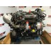 Caterpillar C3.4B CJG-4435247 NEW
