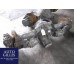 Meritor / Iveco MS17X / MS 17 X / 177E LKW Achse
